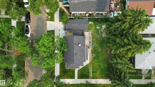 Residential property featuring a dark shingle roof, established green landscaping, and a paved street - 9124 119 Avenue Nw, Edmonton, AB - Outdoor