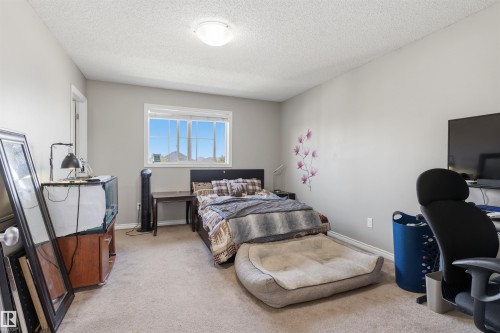 Carpeted room with light grey walls, a bright window, and a flush mount ceiling light fixture - 1608 65 Street Sw, Edmonton, AB - Indoor Photo Showing Bedroom