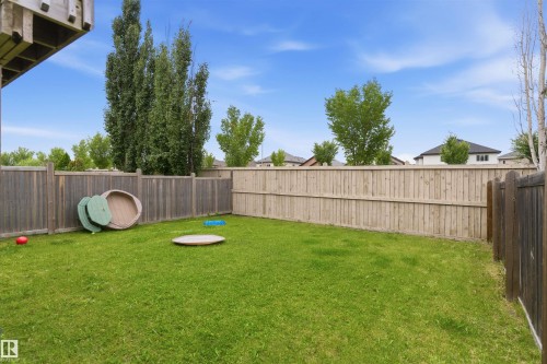 Expansive green lawn surrounded by wood privacy fencing - 1608 65 Street Sw, Edmonton, AB - Outdoor