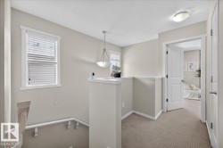 Carpeted hallway with a window featuring blinds, a hanging pendant light, an open doorway, and a flush mount ceiling light - 