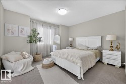 Carpeted flooring, white painted walls, and a window with sheer curtains - 