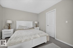 Textured carpeting - 