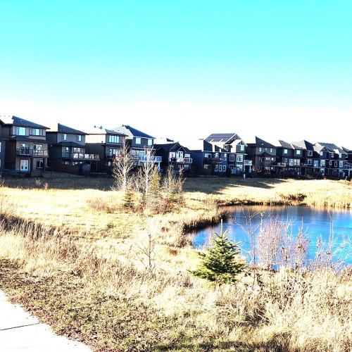 1399 Watt Drive Sw, Edmonton, AB - Outdoor