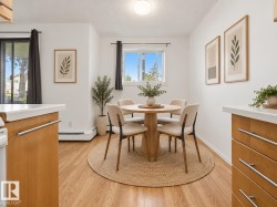 Light wood-finish flooring, white walls, built-in overhead lighting, and a white framed window - 