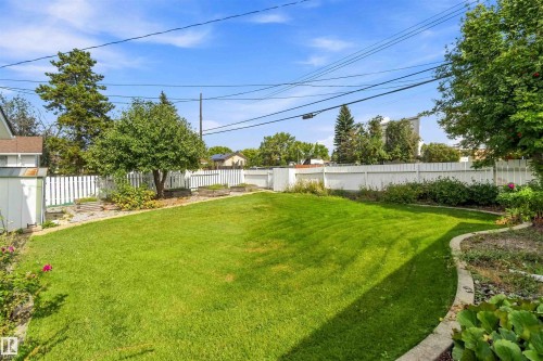 Expansive lawn area with a white picket fence, mature trees, and a garden shed - 9311 68 Street Nw, Edmonton, AB 