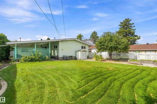 Expansive backyard featuring a manicured lawn, established tree, and raised garden beds - 9311 68 Street Nw, Edmonton, AB 