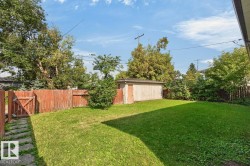Expansive green lawn with mature trees, a wood privacy fence, and an auxiliary building - 