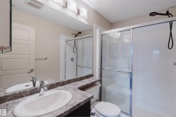 Vanity with an oval undermount sink, chrome faucet, and speckled countertop - 