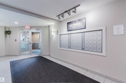 Mailbox wall with multiple individual compartments - 