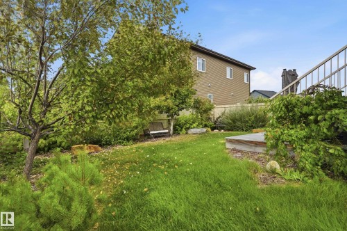 Expansive backyard featuring a manicured lawn, mature trees, established landscaping, and a multi-level deck with metal railing - 1961 Adamson Terrace Sw, Edmonton, AB 