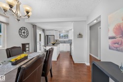 Wood-finish flooring, white walls, and a contemporary chandelier - 