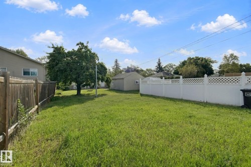 Expansive grassy yard area featuring a wood fence on one side and a white lattice-top fence on the other - 11914 124 Street Nw, Edmonton, AB 