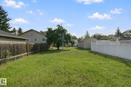 Expansive grass lawn with a mature tree - 11914 124 Street Nw, Edmonton, AB 