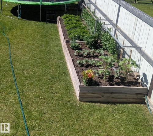 Raised garden bed with various plants, set against a wood fence, and bordered by a grass lawn - 948 Morris Way, Leduc, AB 