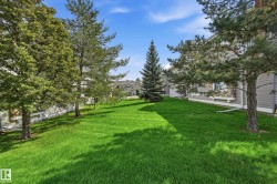 Expansive green lawn surrounded by mature trees - 