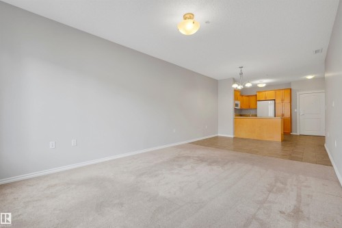 Open-concept living space featuring neutral carpet, light gray walls, and a kitchen with wood cabinetry and stainless steel appliances - #215 9820 165 St Nw, Edmonton, AB 