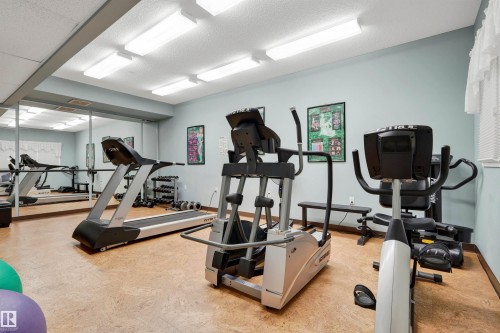 Fitness area featuring full-wall mirrors and overhead fluorescent lighting - #215 9820 165 St Nw, Edmonton, AB 