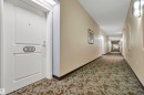 White paneled entry door with hardware - #215 9820 165 St Nw, Edmonton, AB 