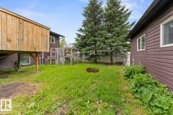 Expansive green space featuring mature evergreen trees and a wood picket fence - 