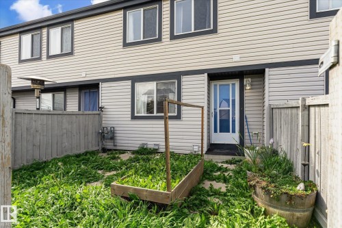 Rear entrance with privacy fencing and raised garden beds - #3 18010 98 Av Nw, Edmonton, AB 