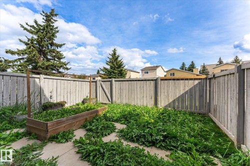 Fenced yard featuring a raised planter box and concrete paver pathway - #3 18010 98 Av Nw, Edmonton, AB 