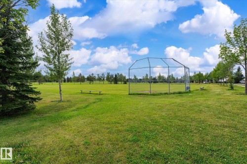 Expansive green space featuring a baseball backstop, scattered trees, and multiple park benches - #3 18010 98 Av Nw, Edmonton, AB 