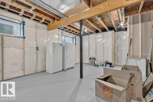 1064 Cy Becker Road Nw, Edmonton, AB - Indoor Photo Showing Basement