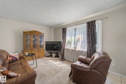 Carpeted living space with a large window, neutral wall paint, and a textured ceiling - 