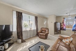 Light-toned walls complement the neutral carpet flooring - 