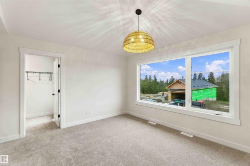 Neutral wall paint, plush carpet flooring, recessed closet, contemporary pendant lighting fixture, and large window - 5852 Raven Crescent Nw, Edmonton, AB 