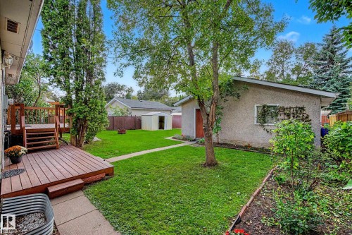 Expansive backyard featuring a multi-level wood-finish deck, concrete pathway, detached storage shed, and mature trees - 10830 138 Street Nw, Edmonton, AB 
