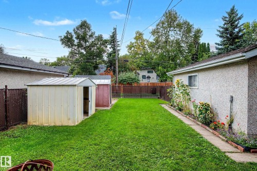 Expansive backyard featuring a lush, level lawn bordered by mature trees and evergreen landscaping - 10830 138 Street Nw, Edmonton, AB 