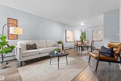 Open-concept living area with wood-finish flooring, light gray wall paint, and a window providing natural light - #7 10032 113 St Nw, Edmonton, AB 