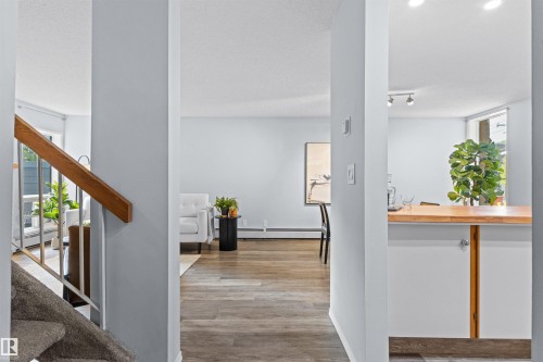 Wood-finish flooring, light grey wall tones, and track lighting - #7 10032 113 St Nw, Edmonton, AB 