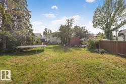 Expansive backyard featuring a mature evergreen tree, residential fencing, and a manicured lawn - 