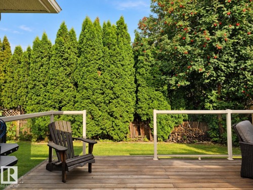 Wood deck with glass panel railing and aluminum posts, featuring a manicured lawn, mature evergreen trees, and a fruit-bearing tree - 11 Brunswick Crescent, St. Albert, AB 