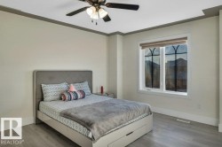 Windowed interior space featuring wood-finish flooring, a ceiling fan with integrated lighting, and crown molding - 