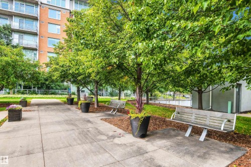 Paved walkway bordered by mature trees and landscaped green spaces - #416 2510 109 St Nw, Edmonton, AB 