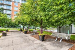 Paved walkway bordered by mature trees and landscaped green spaces - 
