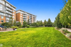 Expansive grassy area with mature trees and a paved walkway - 