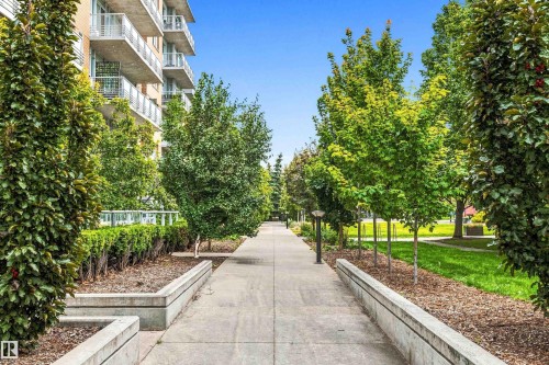 Paved walkway flanked by mature trees and manicured hedges, featuring concrete planter boxes - #416 2510 109 St Nw, Edmonton, AB 