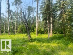 #113 55107 RR 33 Rural Lac Ste. Anne County, AB T0E 1A0
