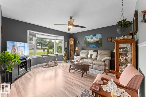 Living area featuring wood-finish flooring, a bay window with natural light, a ceiling fan, and dark accent walls - 1303 12 Street, Cold Lake, AB 