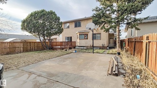 Expansive backyard featuring a wood deck, mature trees, and a concrete patio - 3031 79 Street Nw, Edmonton, AB 
