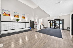 Wood-finish flooring with black carpet runner, white walls, and automatic glass entry doors - 