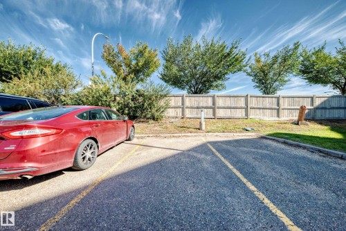 Paved parking area featuring striped parking spaces, a wood privacy fence, and mature perimeter trees - #1303 330 Clareview Station Dr Nw, Edmonton, AB 