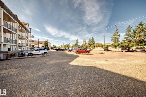 Asphalt parking area with multiple parking spaces, bordered by mature evergreen trees - #1303 330 Clareview Station Dr Nw, Edmonton, AB 