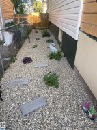 Gravel-covered side yard featuring stepping stones and planted garden beds - 