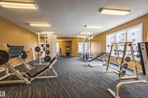 Fitness center featuring patterned carpet flooring, extensive window-line, and multiple overhead light fixtures - #412 4304 139 Av Nw, Edmonton, AB - Indoor Photo Showing Gym Room