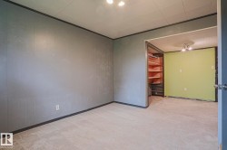 Carpeted flooring, paneled wall finishes, built-in shelving, and recessed lighting - 